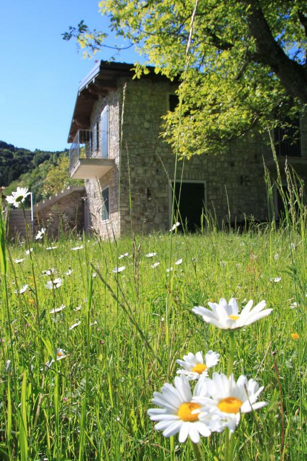 Villa Ca Del Gari Tremosine Exterior foto